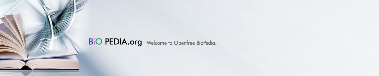 Biopedia_benner(1).jpg